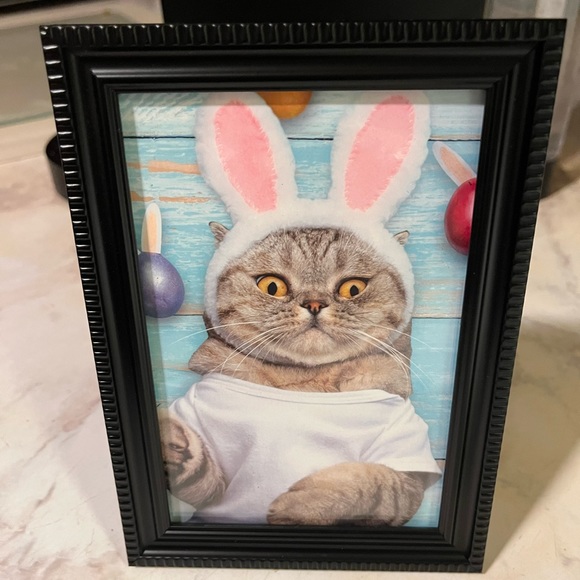 Framed art/photos cute Easter bunny kitty 6x4 inches, black brand new frame - Picture 3 of 4
